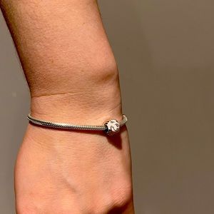 Pandora snake bracelet with cupcake charm